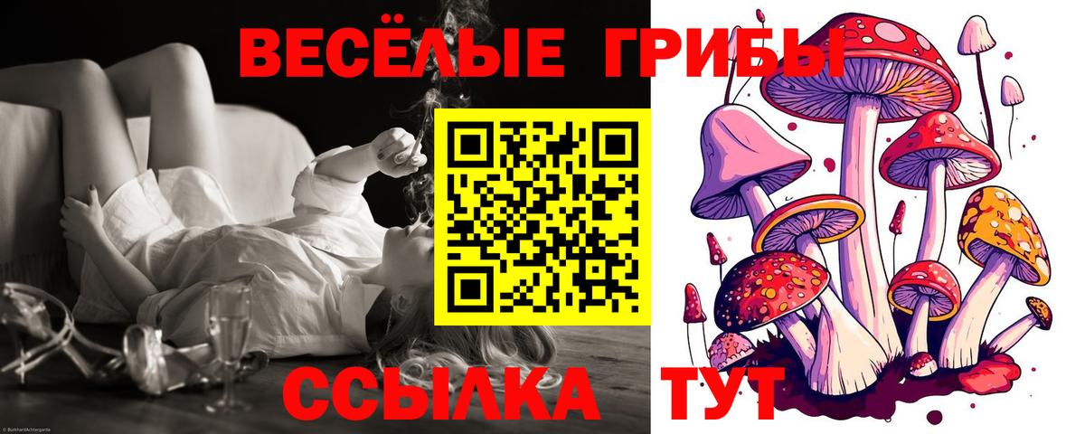 Калач-на-Дону  Галлюциногенные грибы мухоморы  Вход с VPN  Псилоцибиновые грибы GOLDEN TEACHER 